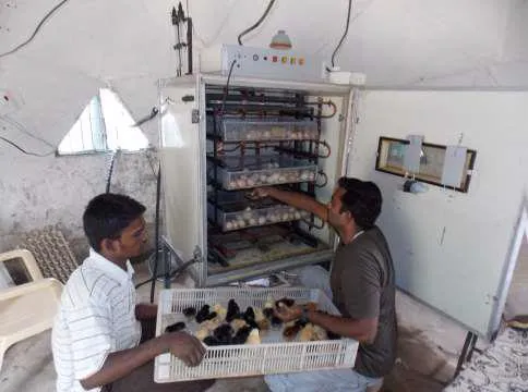 Egg Incubation Center > La Fondation Dassault Systèmes