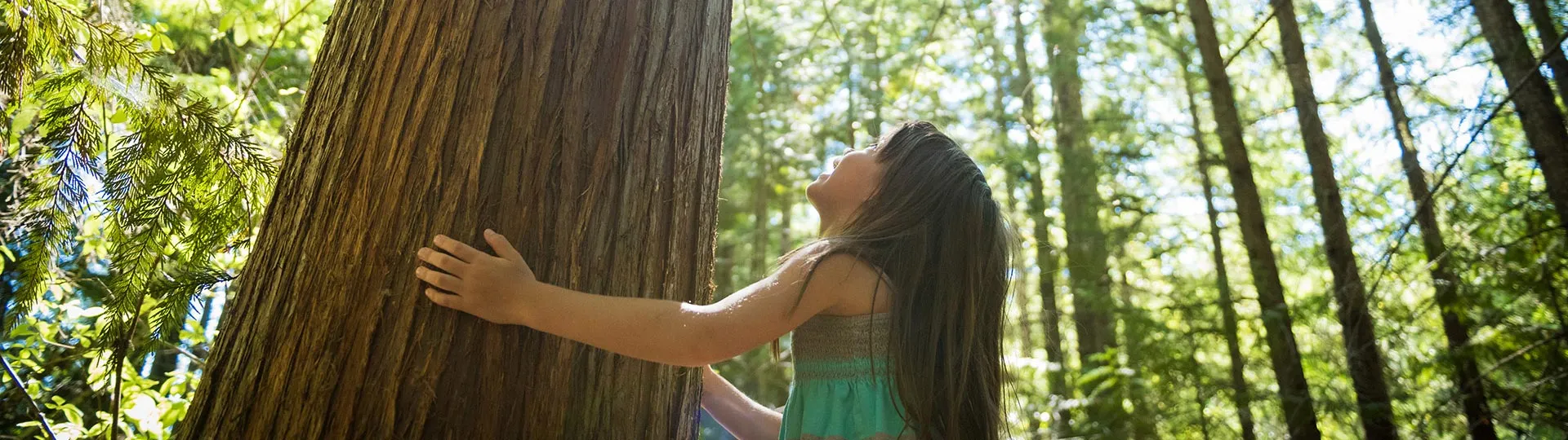 Submit a project - Child in a forest > La Fondation Dassault Systèmes
