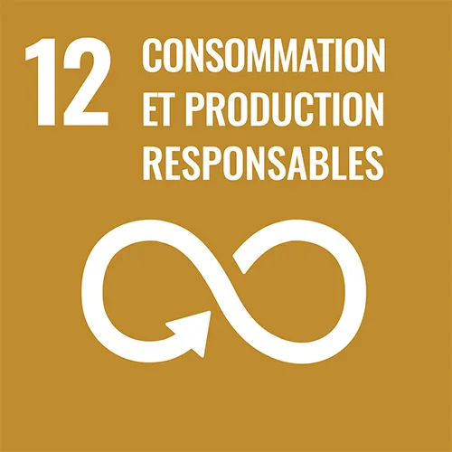 NU Objectifs Développement Durable | 12 - Consommation et production responsables > La Fondation Dassault Systèmes